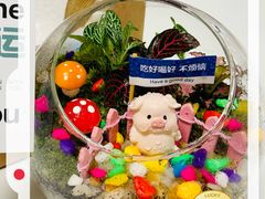 -上海市总工会沪东工人文化宫