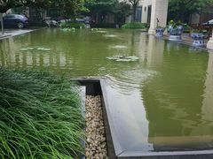 -东航云逸酒店(九溪烟树店)