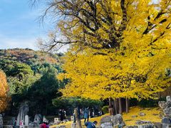 -香山公园-东宫门售票处