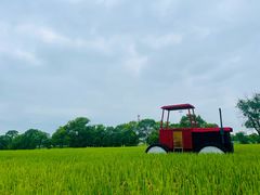 -嘉北郊野公园
