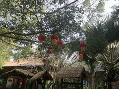 -海南热带野生动植物园