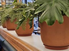 -新旺茶餐厅(鑫耀·光环live店)