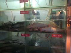 -万和源炝锅城·活鱼现炝(文艺北路店)