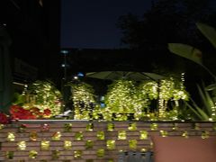 -酷cigar&whisky·bar(神仙树店)