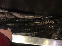 -周渝食惦酸菜鱼(青浦店)