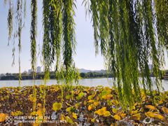 -济南大明湖景区