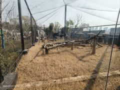 -武汉动物园