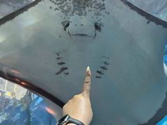 -合肥海洋世界