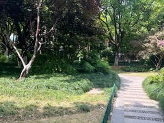 -大关公园