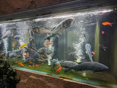 -又见炊烟私房菜(敬亭路店)