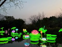 -月芽·自由餐厅·西溪湿地餐厅