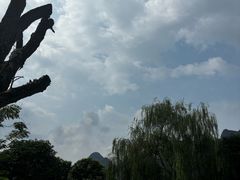 -村上春树