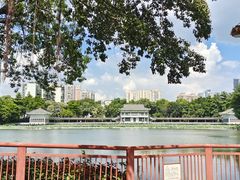 -荔湾湖公园