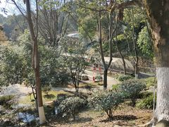 -三江森林温泉度假区