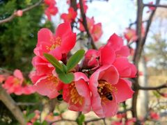 -沂蒙山旅游区云蒙景区(蒙山国家森林公园)