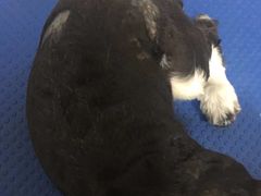 -派特宠物医院(圆融广场店)