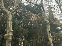 -米屋石锅拌饭(师大店)