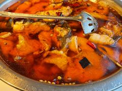 -红京鱼(西坝河店)