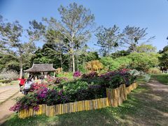 -中国科学院西双版纳热带植物园