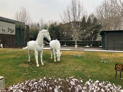 -春晖园度假酒店温泉