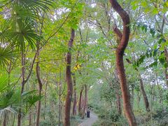 -上海佘山国家森林公园天马山园