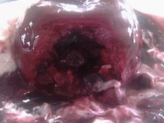 -上海和平饭店-华懋阁 The Cathay Room