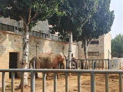 -石家庄市动物园