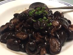 -同庆楼(花园店)