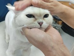 -联合动物医院(光谷诊疗中心)