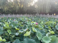 -钱王祠