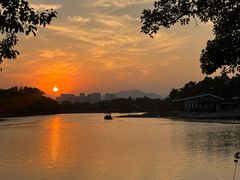-江心屿景区