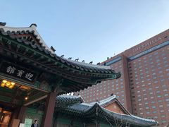 -新罗免税店(首尔总店)
