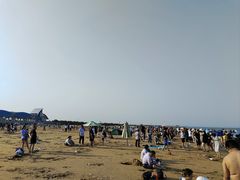 -日照海滨国家森林公园