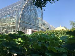 -南山植物园