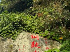 -海南铜鼓岭景区
