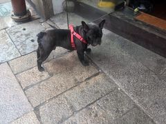 -衣裳街历史文化街区
