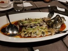 青花椒蒸笋壳鱼-三利音·东方司宴(外滩店)