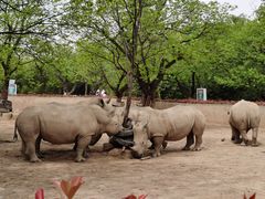 -西安秦岭野生动物园