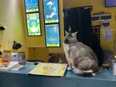 -谜盒子奇幻密室(南屏店)