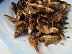 -黄牛肉馆·皖南土菜