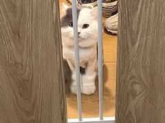 -美联众合爱康动物医院•复杂内科•肿瘤科•牙科•腔镜诊疗中心