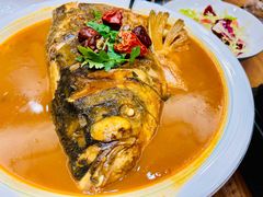 -鲁宴·鲁煨黄河生态大鲤鱼(月坛店)