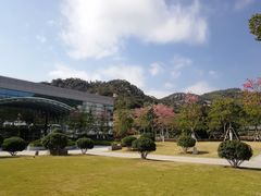-厦门国家会计学院