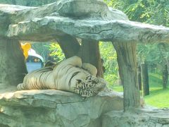 -北京野生动物园