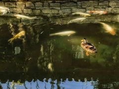 -三里河公园