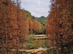 -云溪植物园