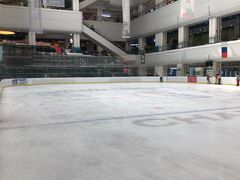 -炫采冰场(红博中央公园商场店)