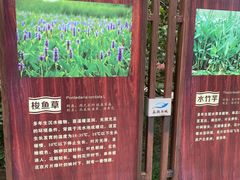 -长广溪湿地公园
