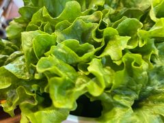 -牛犇烤肉(物资学院路店)