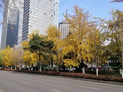 -沈阳中山公园